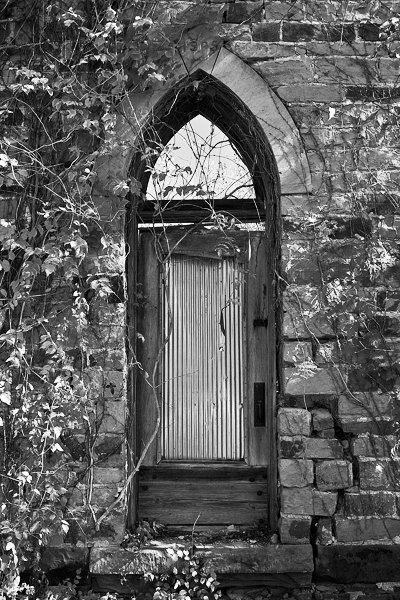 Door and Vine - 1905