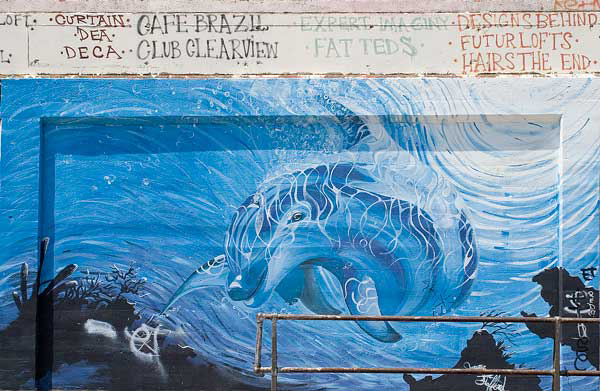 The Dolphin