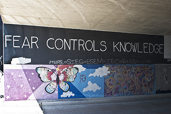 Fear Controls...
