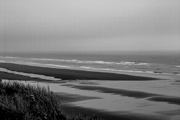 The Coast