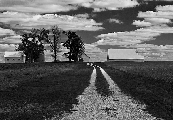 Farm Lane