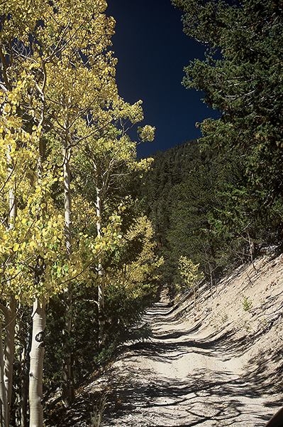 Mt. Princeton