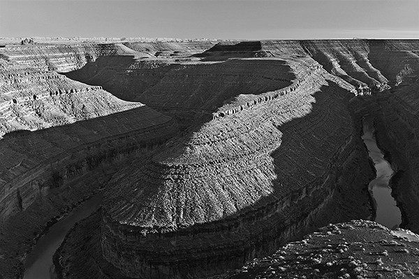 San Juan Gooseneck