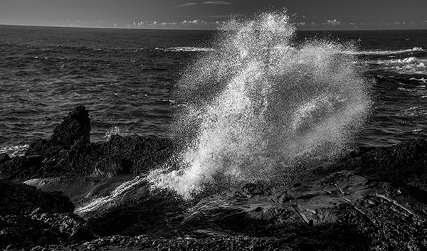 Point Lobos State Natural Reserve Crashing Wave