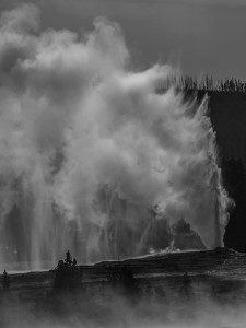 Old Faithful 4961